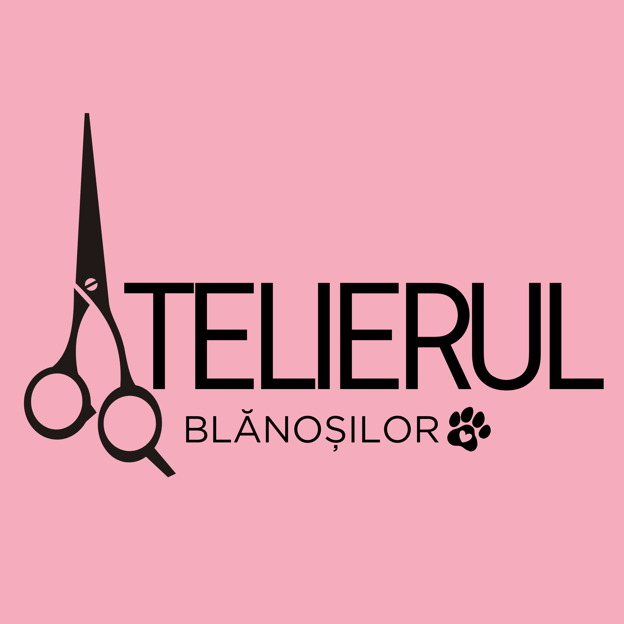 Atelierul Blănoșilor